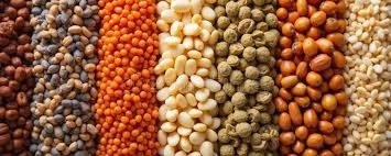 India's Nutrition Revolution