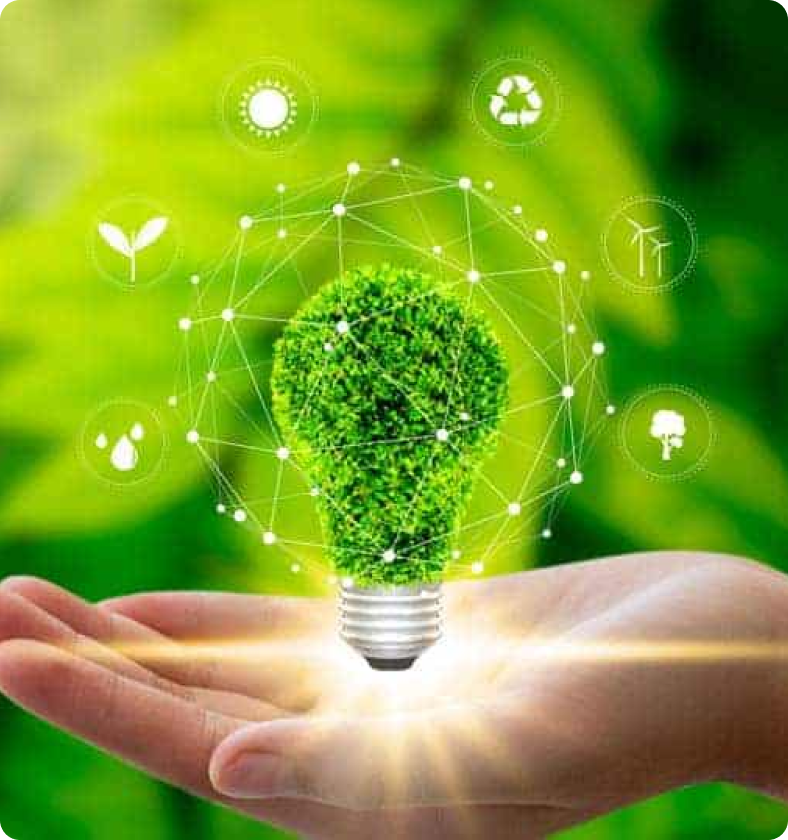 Sustainability and Resilience